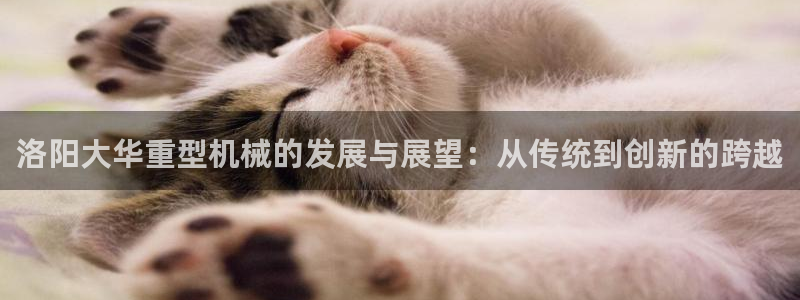 龙八国际苹果下载