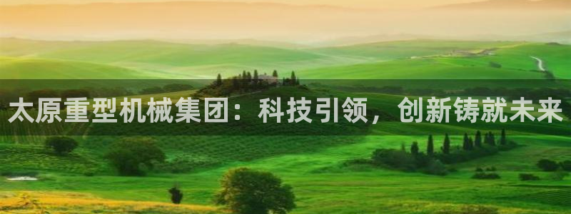 龙八国际有没有假