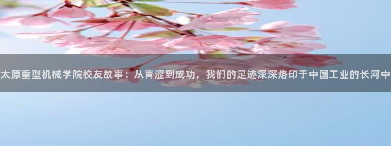 手机版龙八国际官网