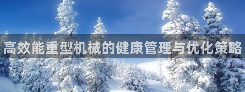 龙八国际贸易有限公司