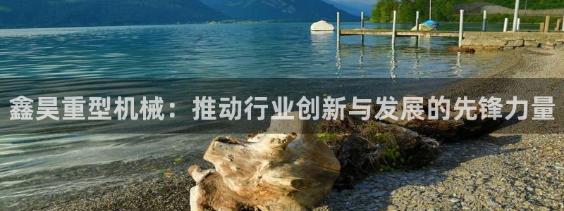 龙八国际安全吗