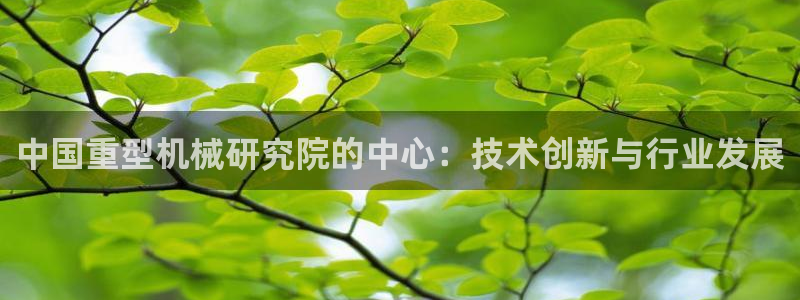 龙八国际网址是什么