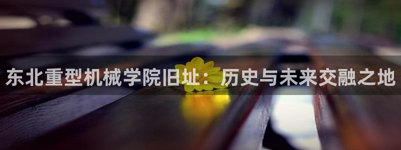 龙八国际平台手机版