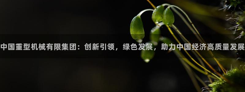 龙八国际娱乐地