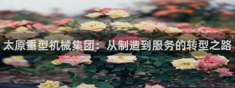 龙八国际可b48点tv