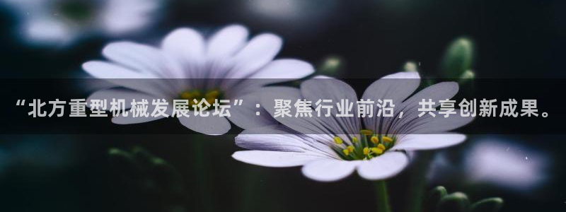 龙八国际网址是多少