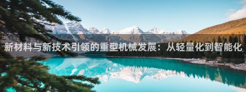 龙八国际彩金购买