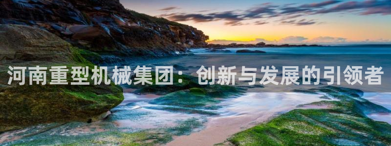 龙八国际