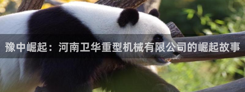 龙八国际苹果下载地址